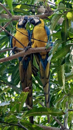 PXL_20240324_185831962