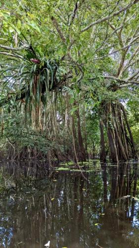 PXL_20240330_145250599