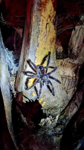 PXL_20240331_235023733