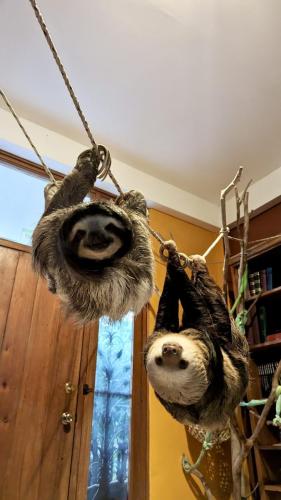 PXL_20240412_230736616