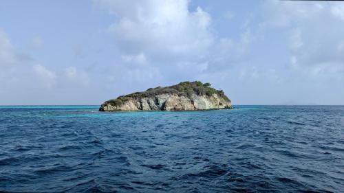 PXL_20240423_201318691