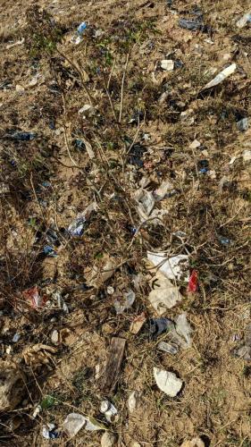 PXL_20240424_134050707