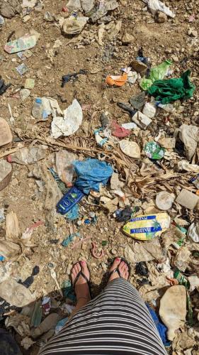 PXL_20240424_134238219