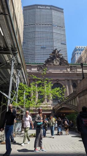 PXL_20240501_153332552