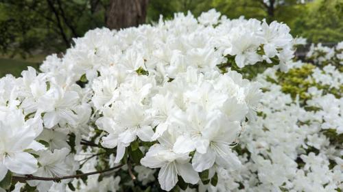 PXL_20240504_154833213