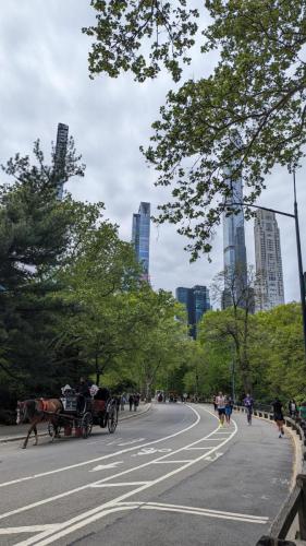 PXL_20240504_155150627