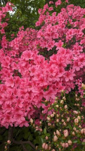 PXL_20240504_155527233