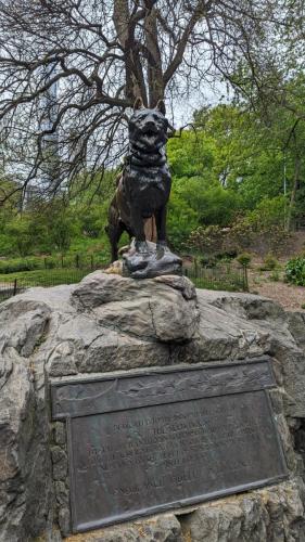 PXL_20240504_155843874