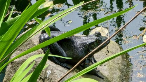 PXL_20240506_181201875