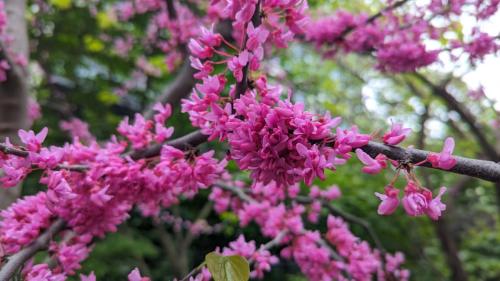 PXL_20240506_214100741